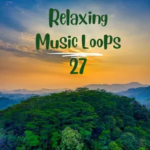 Relaxing Music Loops 27